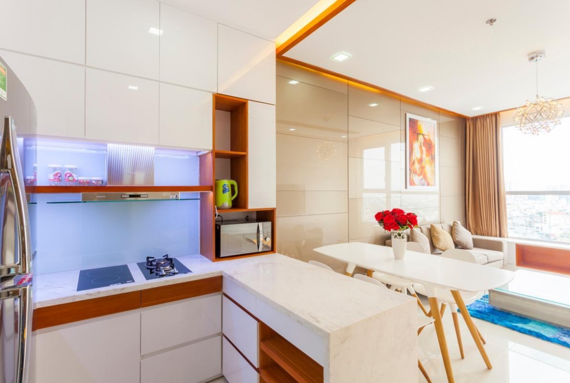 Modern Apartment for Lease for Saigon Airport