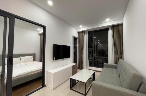 Opal Pearl for rent in Binh Thanh District HCMC