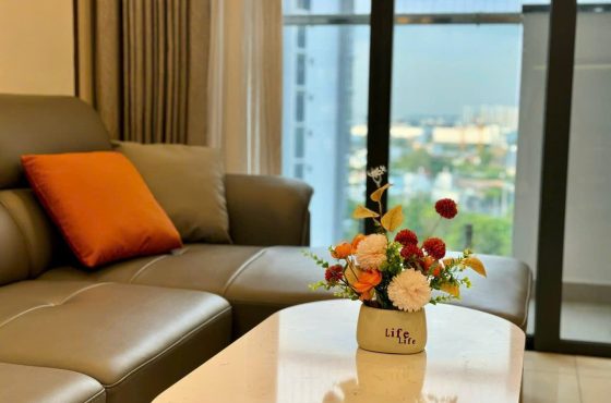 Celadon Apartment for Rent  Experience Modern Living in Tan Phu District