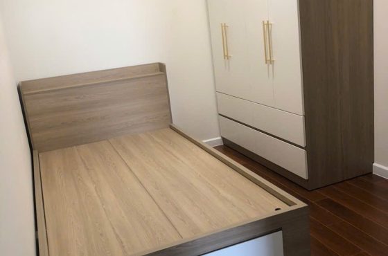 Picity apartment for rent in District 12
