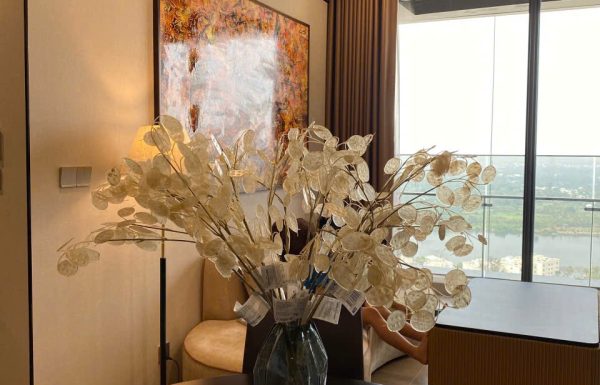 Apartment for rent 1788166265159_8020724447559627629_8020724447559627629_a3264da0bf2d2b4dad85e2fc460f7c1a